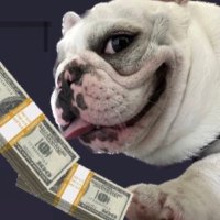 PEDRO βοΈππ (@pablo2themoon) 's Twitter Profile