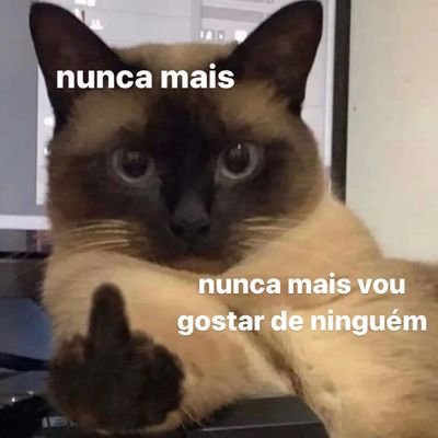perfil criado especialmente para stalkear outros perfis.