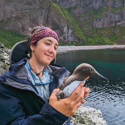 🐦 Birder
📸 Photographer
🥾 Wanderer
🌛 Ponderer
🪶 Licensed bird ringer/nester/surveyor @_BTO