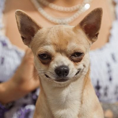 blessing_konan's profile picture. 