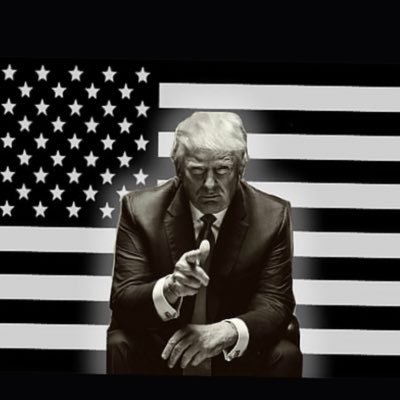 Mohyder13's profile picture. 🇺🇸#MAGA   #MAHA