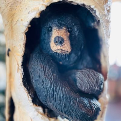 Sy3225's profile picture. 