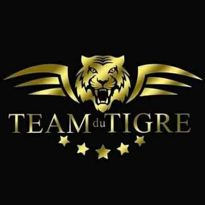 Team Du Tigre
