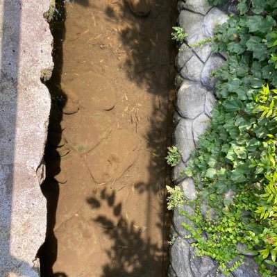 A33rka's profile picture. 