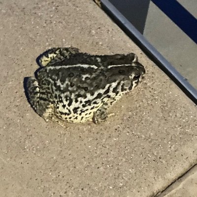 exitliquidity69's profile picture. 