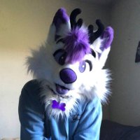 leo (@leodeerdog) 's Twitter Profile