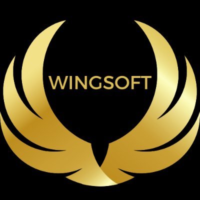 wingsoftllc's profile picture. 🚀 WingSoft: Crafting digital solutions via website building & marketing. Elevate your online journey with us. #WebDesign #DigitalMarketing