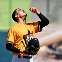 Andrew Pinedo (@thebear0411) 's Twitter Profile