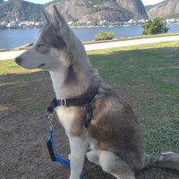 Laura (@lauraecl71) 's Twitter Profile