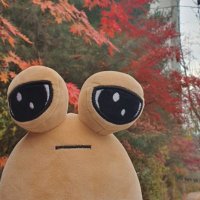 lonk (@lonkland) 's Twitter Profile Photo lonk (@lonkland) 's Twitter Profile Photo