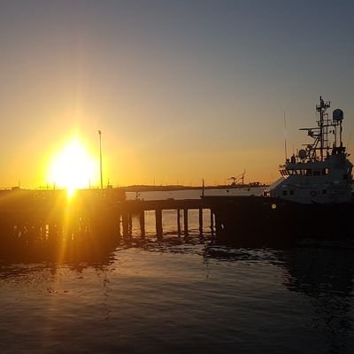 bensmitler18's profile picture. No one follows an egg