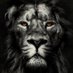 Steve Jackson (@steveja30665813) Twitter profile photo Steve Jackson (@steveja30665813) Twitter profile photo