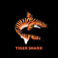 Tiger Shark(@TigerSharkBSC) 's Twitter Profile Photo