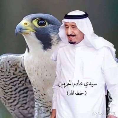 ابو سلمان 🇸🇦 Profile