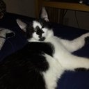 Daniel Matney - @ChillShill07 - Twitter