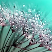 Karthik (@mathewkarthik) 's Twitter Profile