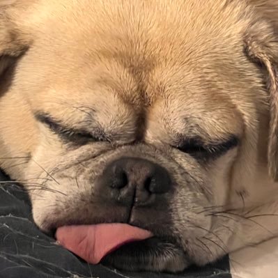 AZDesertRat80's profile picture. Yes a real person, just here for the memes.