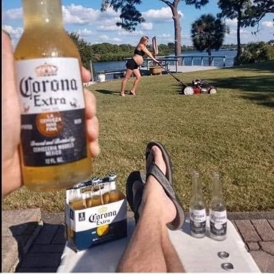 hitnquit556's profile picture. it’s Twitter !