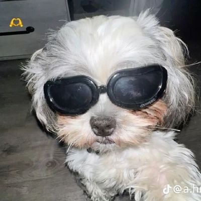 joel_selorm's profile picture. why so serious?😕