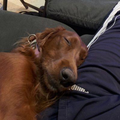 SolidSnake445's profile picture. #SellZSJLtoNetflix #SellSnyderversetonetflix