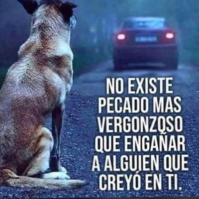 En contra del maltrato animal y a la naturaleza, amante de los animales