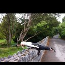 Linda Grieve - @LindaJGrieve - Twitter