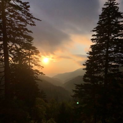 R_Alexis1997's profile picture.