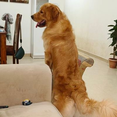 NilayVerma's profile picture. Silent Observer!