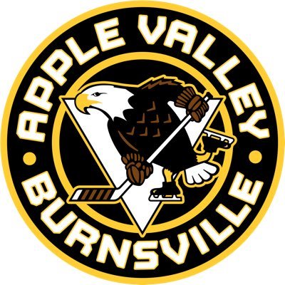 ValleyYouthPuck's profile picture. Apple Valley - Burnsville Hockey Association supports youth hockey from Mites through Junior Gold. Email us at: SocialMedia@avbhockey.com