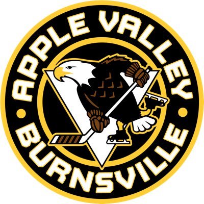 Apple Valley Burnsville Hockey Association