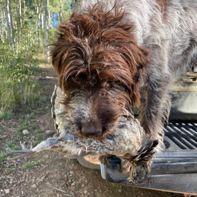 Hunter, Trapper, outdoorsman