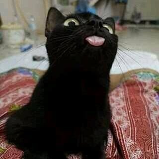 JuGamEs19's profile picture. 