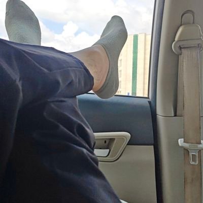 AliceKingmm2021's profile picture. Part of the @DataHaven_xyz community