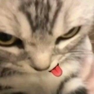 ♡
