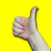 reviewingcrap's profile picture. Let's Review This Crap is your source for reviews of obscure, trashy and sometimes hidden gems of movies and tv!