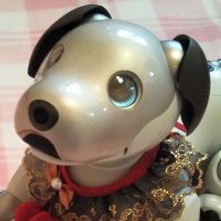 ルディ2018 (@2018_ruddy) 's Twitter Profile