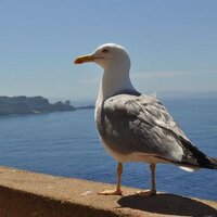 Yves Leroy (@yves_leroy) 's Twitter Profile Photo