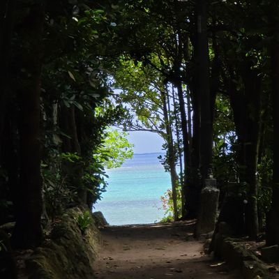 ftype0073's profile picture. ドベ鯖：りとるはうすの市長やってます