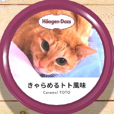 💖ハーゲンダッツ きゃらめるトト風味 食べてみる？💖           ☢️⚠️フォロワー増やしだけの表面上のフォロワーさんは要りません。 たいして会話もしていない人にフォローされるのもイヤ💢  最悪ブロックします。       ✨でも 推しYouTuberさんは別💕  フォローされたら嬉しいです😌💗