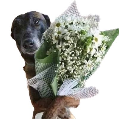 ctclcmv's profile picture. Cu nimic