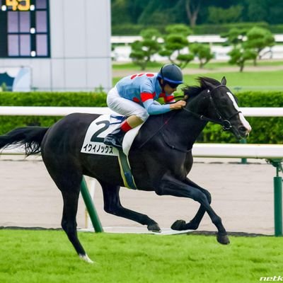 🏇大好き😹　競馬初心者勉強中🔰
よろしくお願いしますm(__)m