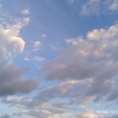 jose87826337853's profile picture. 