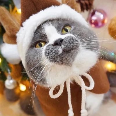 taratarashi_yo's profile picture. DM用アカウントです
東京スカウトマン
風呂屋特化、スカウト歴10年、稼げるようになるまでサポートします。