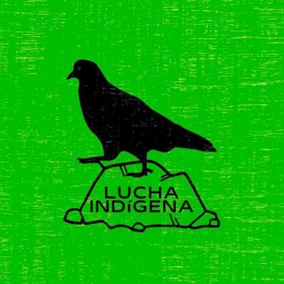 Periódico lucha indígena🏔️ 📍Fundado por Hugo Blanco en el 2006