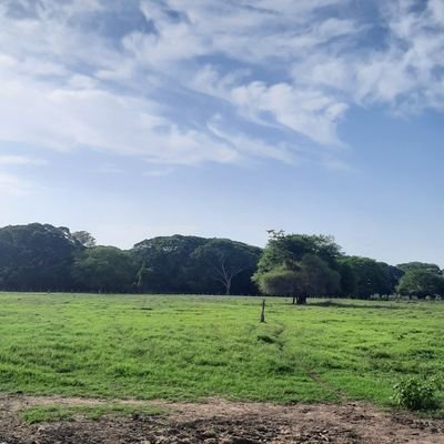 Ingeniero Quimico,  Msc. Gerencia Ambiental. Dios, Familia,  Marisol...La Música, Comida..entre otras cosas.