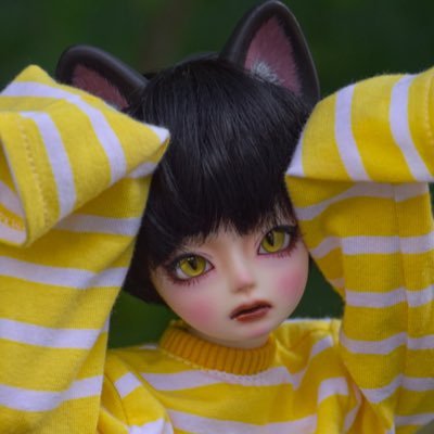もりの🧌さんのプロフィール画像