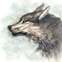 森野ヒロ/イラストレーター (@morinohiro) 's Twitter Profile Photo 森野ヒロ/イラストレーター (@morinohiro) 's Twitter Profile Photo