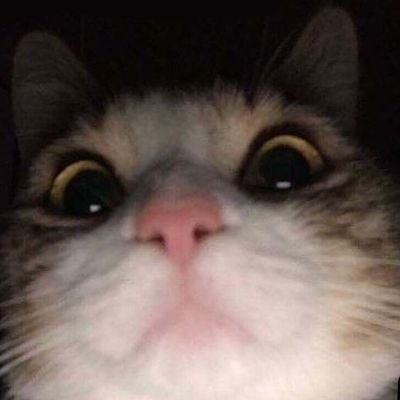 bungalarangan_'s profile picture. Miracel🌠