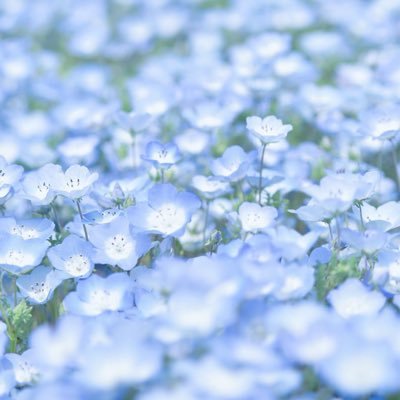 カメラ初心者です。撮ったり撮ってもらったりした写真を載せます。フォロー大歓迎です!写真垢さんフォロバします!📷Nikon D3500