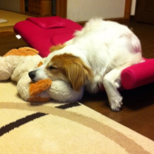 773nami's profile picture. 